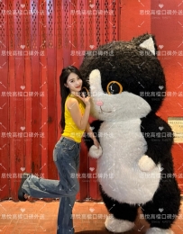 安娜    163m  46kg  C+  24歲   #台中